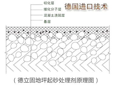 14962139039270338.jpg